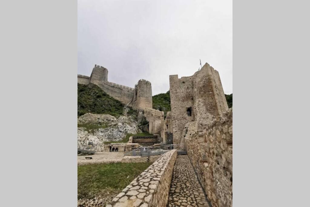 Apartment Rajic Golubac Buitenkant foto