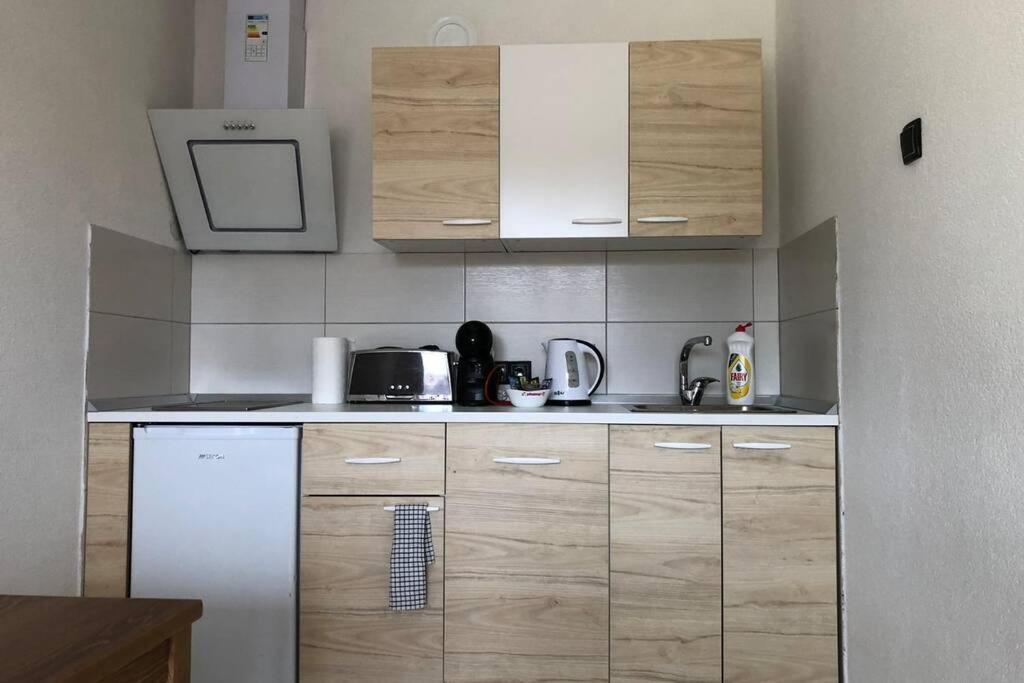 Apartment Rajic Golubac Buitenkant foto