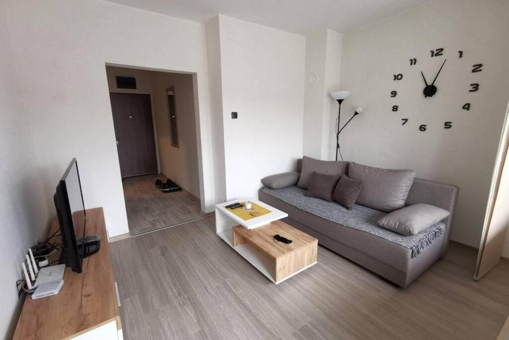 Apartment Rajic Golubac Buitenkant foto