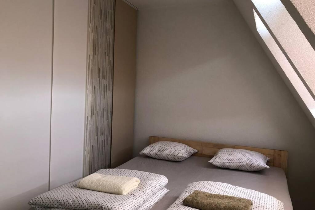 Apartment Rajic Golubac Buitenkant foto