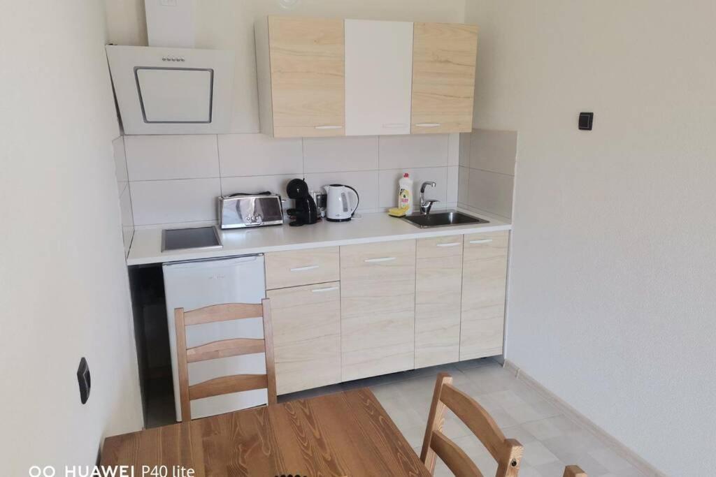Apartment Rajic Golubac Buitenkant foto