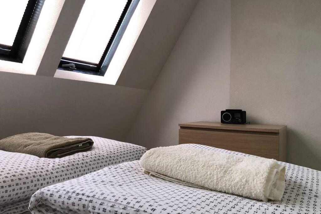 Apartment Rajic Golubac Buitenkant foto